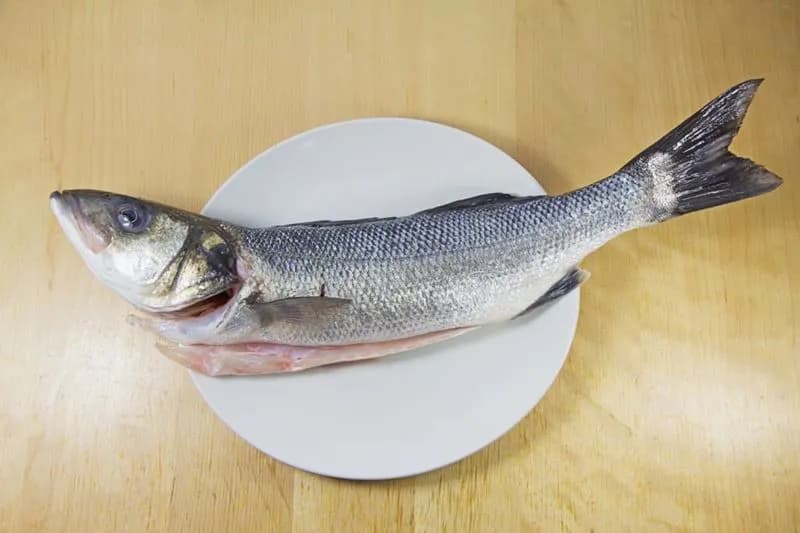 Jak wygląda ryba miruna? Cechy, które zaskoczą każdego miłośnika mórz